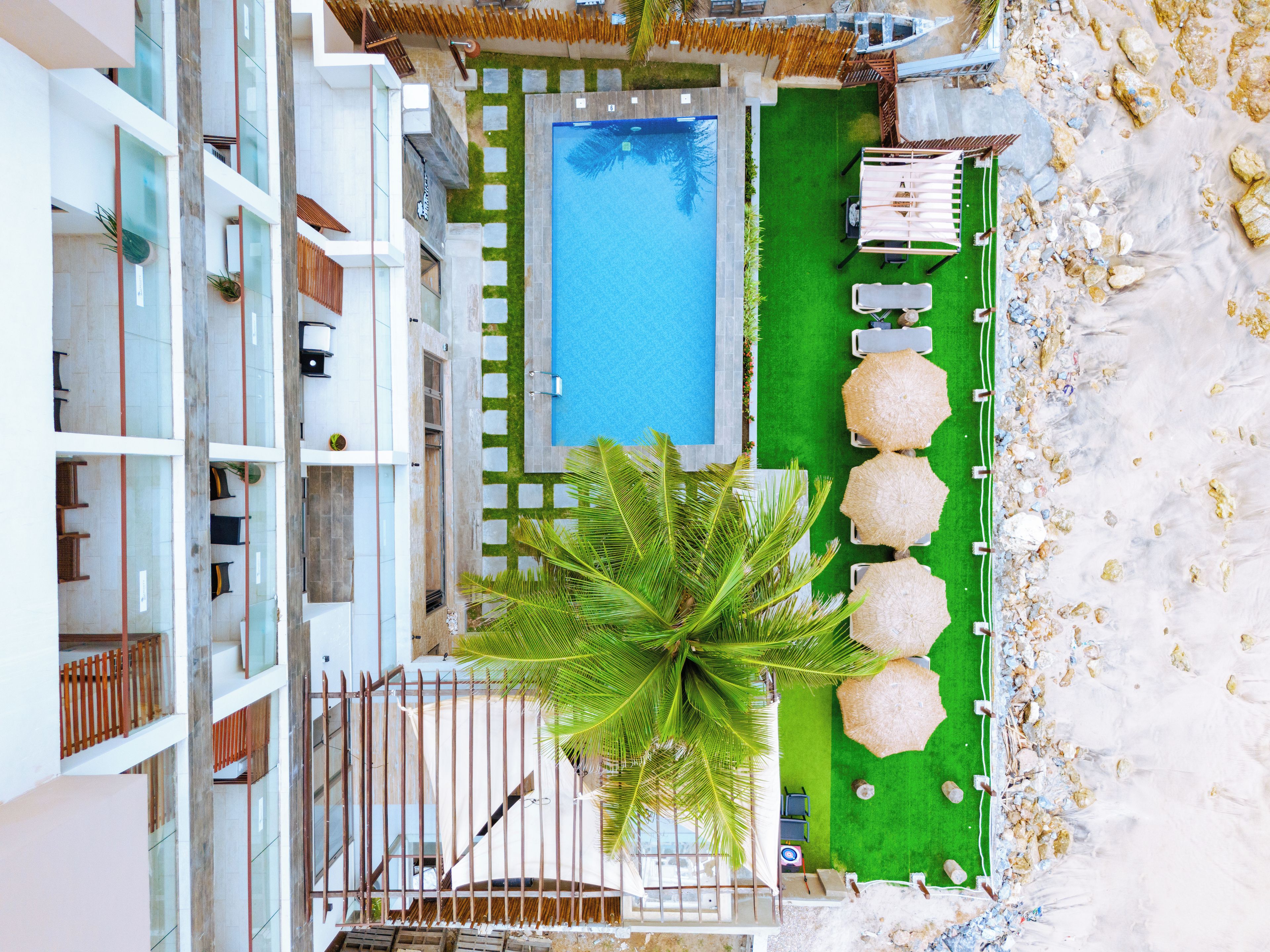 Zona de piscina en la azotea con vista despejada a la piscina, sillas de descanso y una palmera.