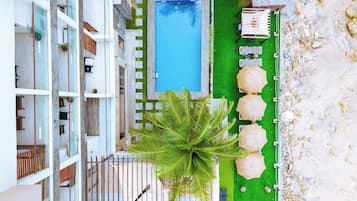 Zona de piscina en la azotea con vista despejada a la piscina, sillas de descanso y una palmera.