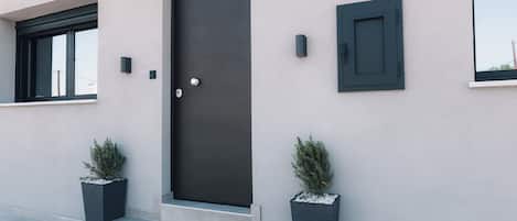 A modern building facade with a dark-colored door, two small windows, and two potted plants.