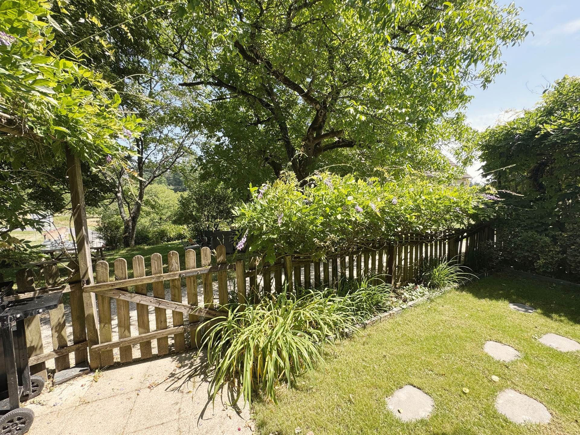 A garden with a wooden fence, a lawn with stepping stones, and various plants.