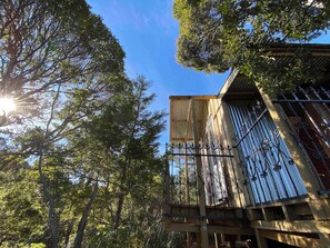 Unclassified image, 2 of 15, button - Wild Forest Estate Tree House (Donnellys Crossing)
