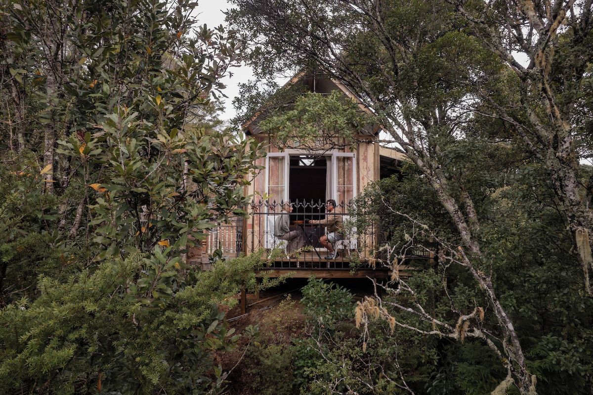 Una casa sull'albero con ingresso aperto, circondata da fitta vegetazione.