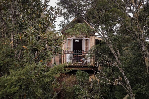 A treehouse with an open entrance, surrounded by dense foliage.