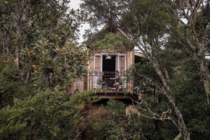 Una casa d'arbriol amb una entrada oberta, envoltada per vegetació densa.