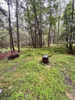 A forested area with a small structure in the center, surrounded by dense trees and undergrowth.