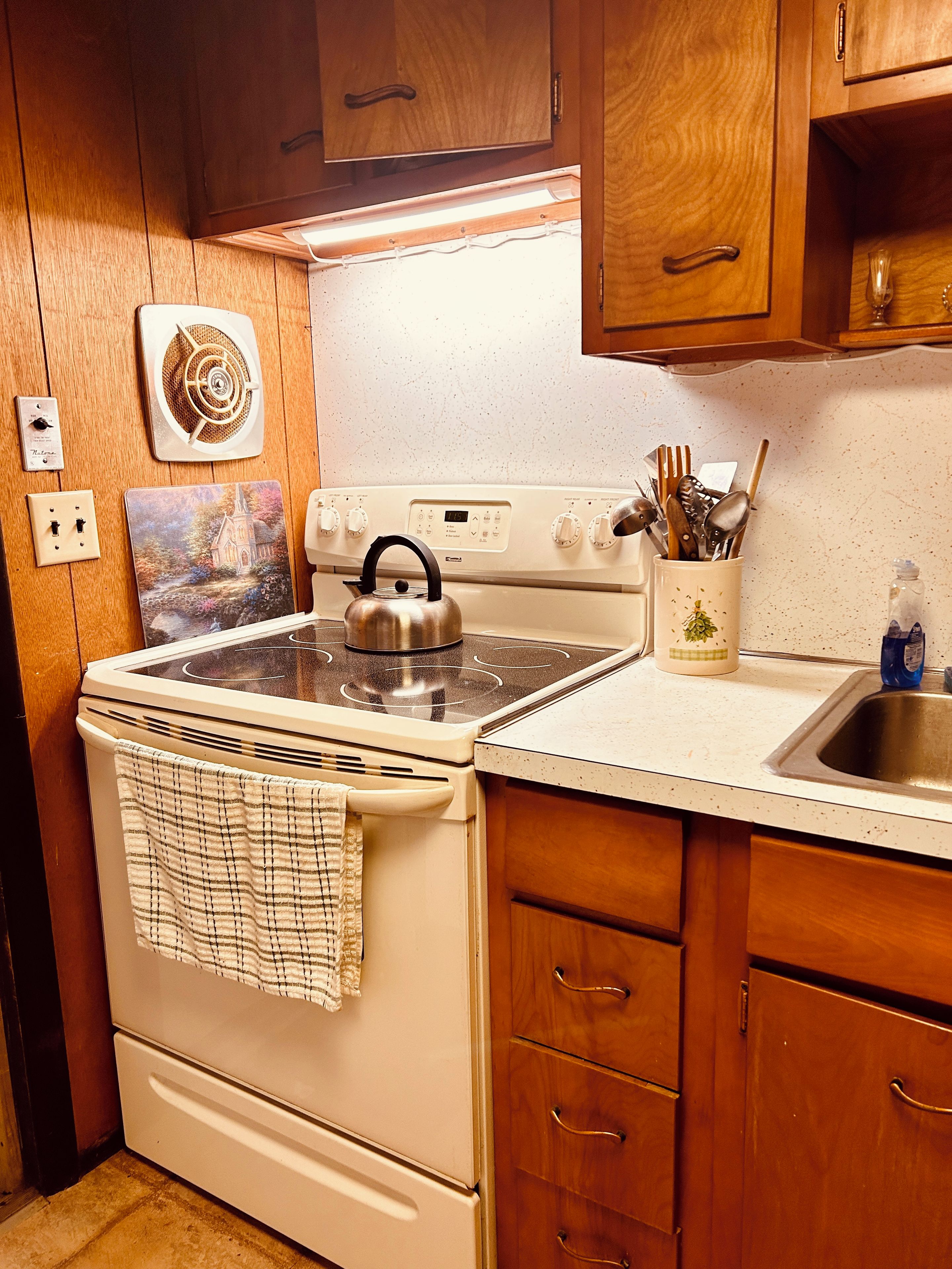 A kitchen with wooden cabinets, a stove, a kettle, and a sink.