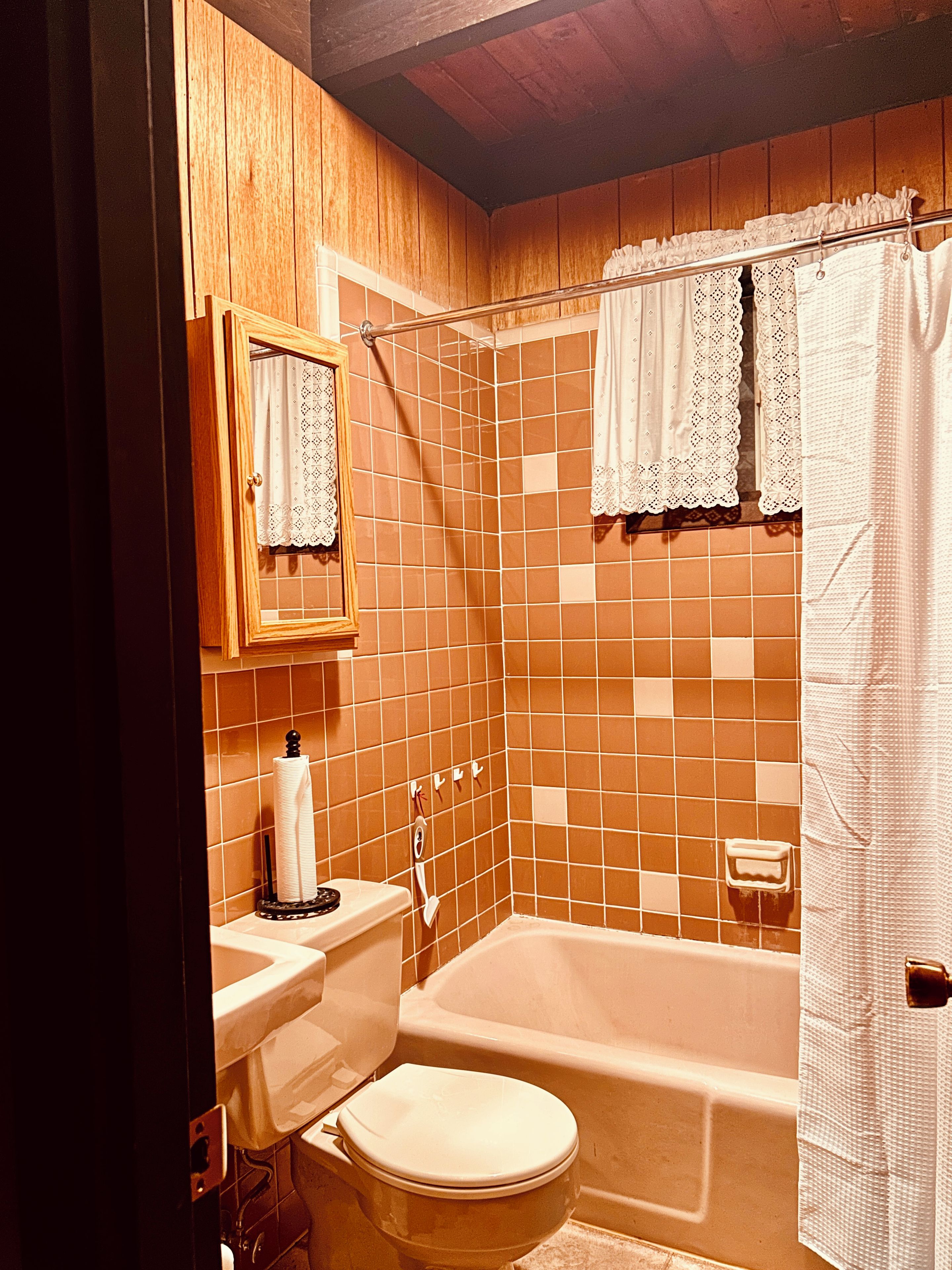 A bathroom with a toilet, bathtub, and shower curtain.