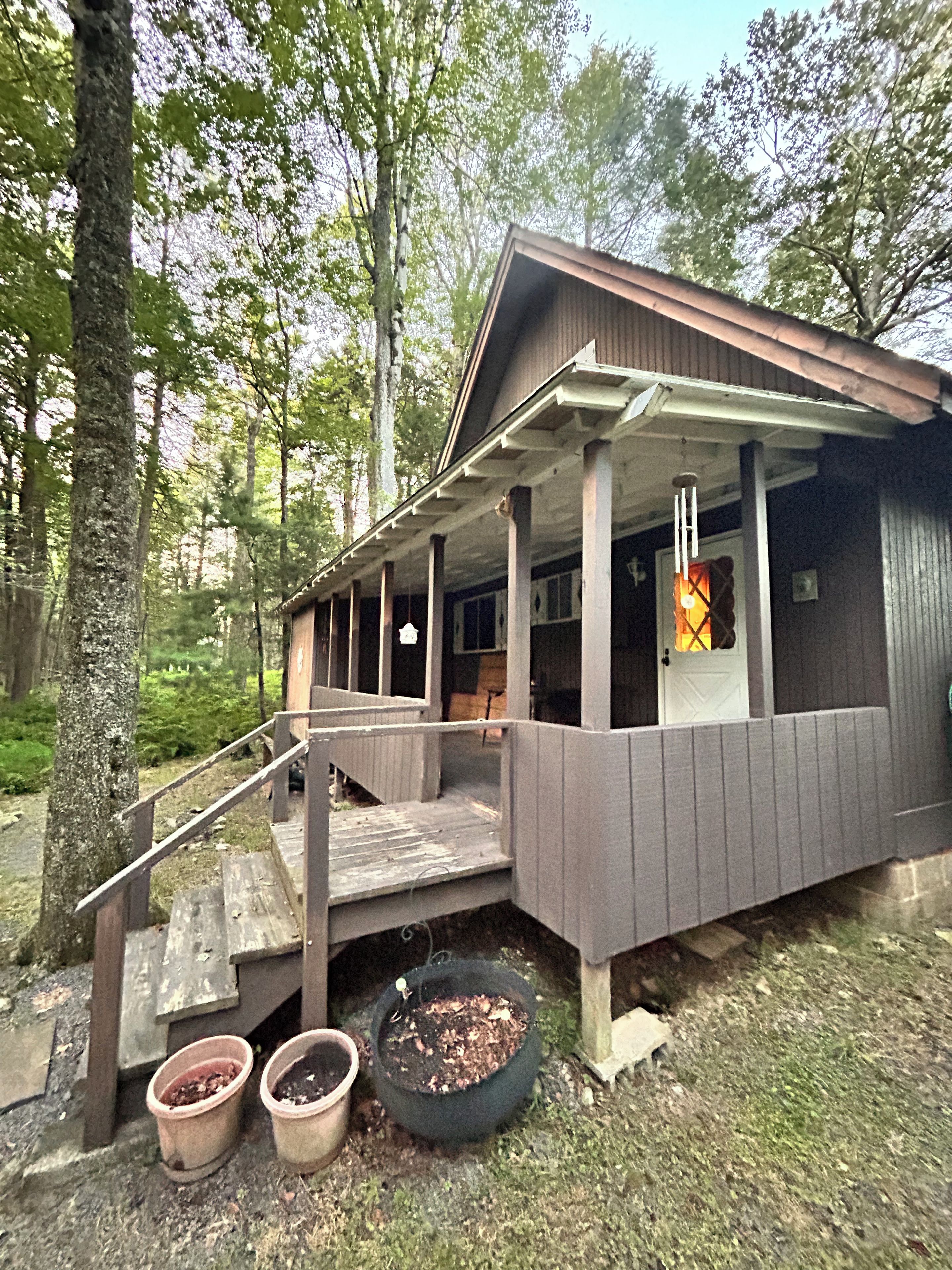 A cabin with a porch, wooden steps, and two potted plants.