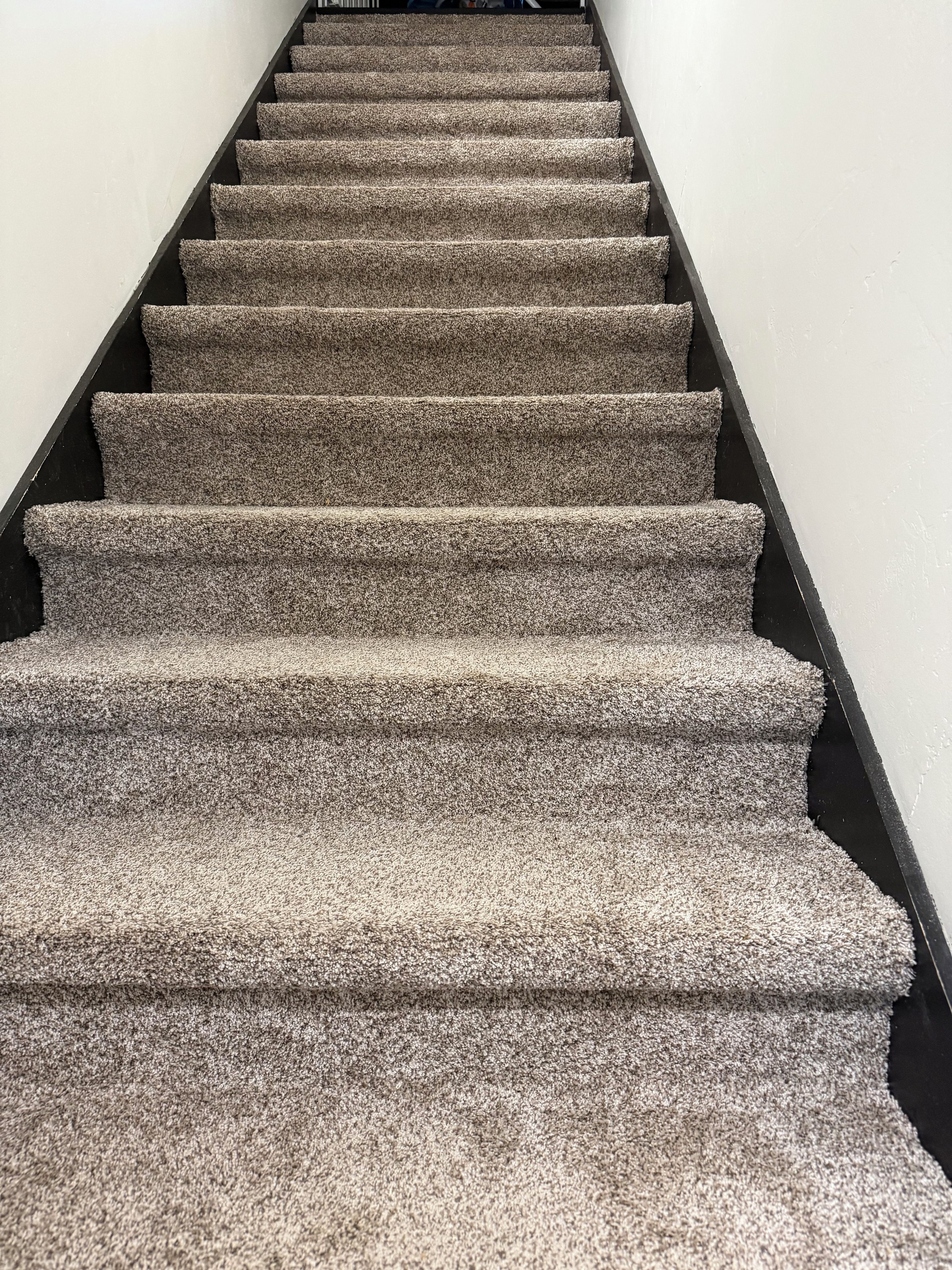 Eine Teppichstufen Treppe mit schwarzem Geländer und weißen Wänden.