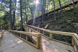 A wooden boardwalk with railings, surrounded by trees and a forested hillside. - Luxury-private pool-across from beach (South Haven)