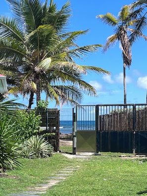 Ein von einer Hecke umgebener Außenbereich mit Palmen und blauem Himmel.
