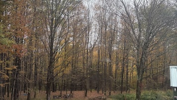 Une zone boisée où l'on aperçoit une pile de palettes en bois et une structure verte.