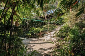 Un escalier en bois, entouré d’une végétation luxuriante, mène à une zone abritée.