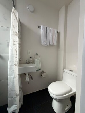 A bathroom with a toilet, sink, and shower curtain. - Private Mini Loft in southern Mexico City, near C.U. (Ciudad de México)