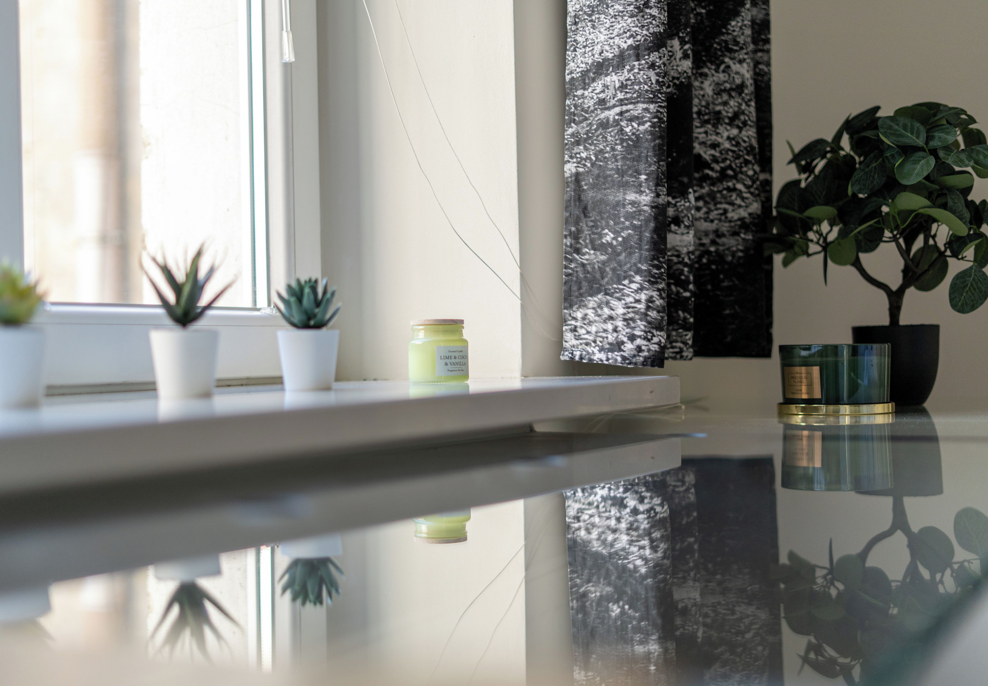 Un interno pulito e moderno con un pavimento riflettente, una finestra con piante e un parete con motivo strutturato.