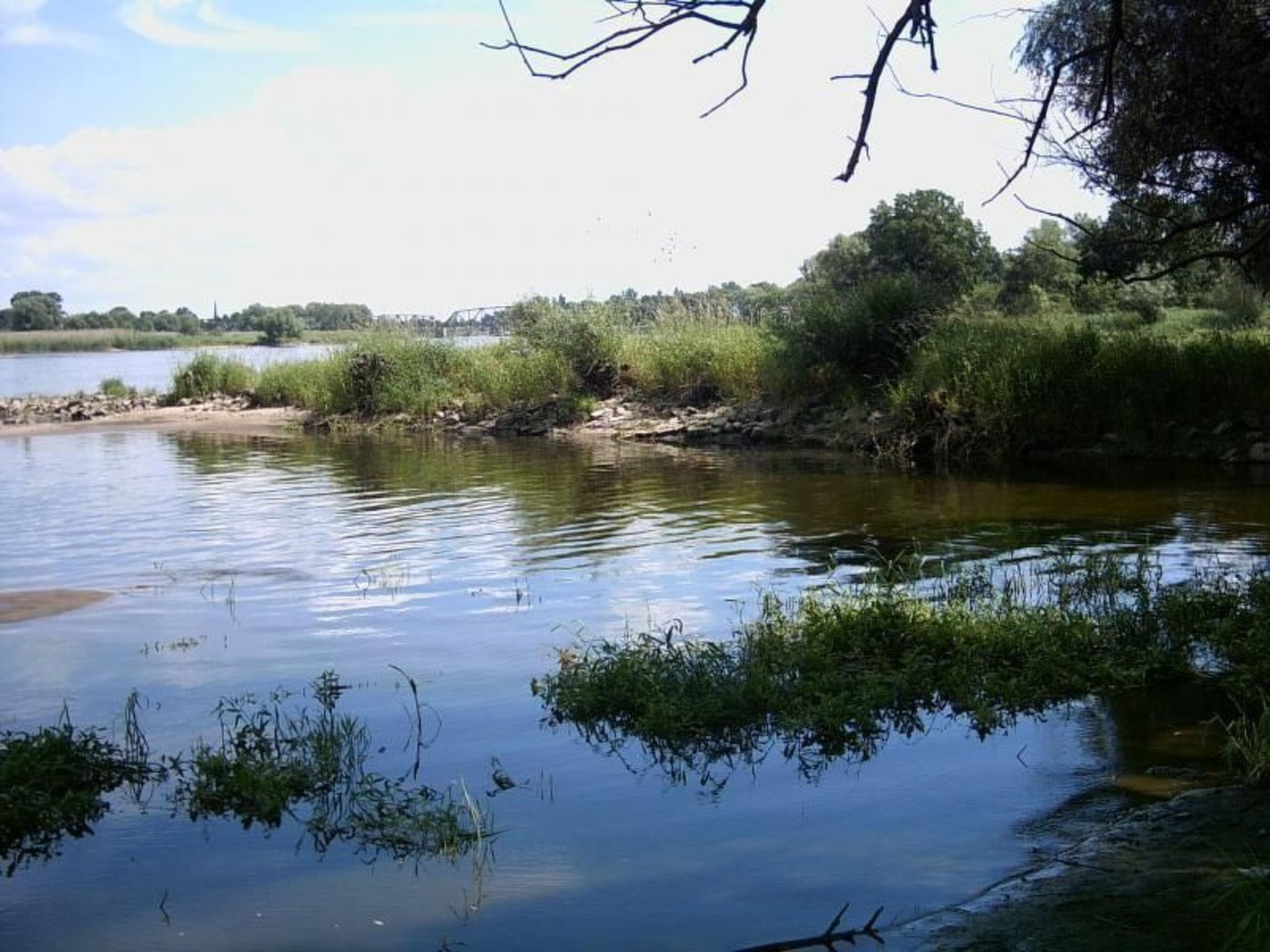Een rustige rivier met begroeiing en bomen aan de oevers.