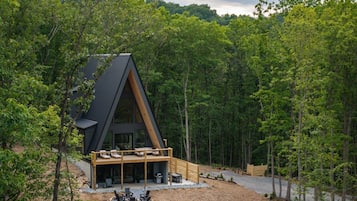 Une cabane moderne, dotée d’un toit en pente, entourée d’une forêt dense.