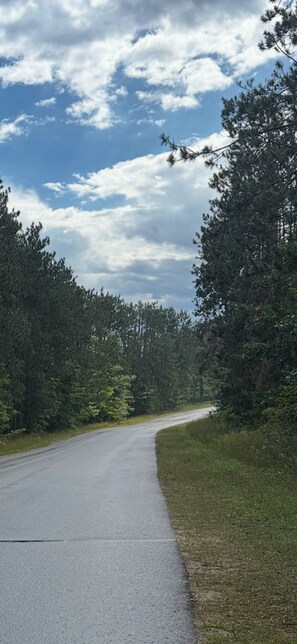 A paved road curving through a forested area with a clear sky above. - Welcome to our Peaceful home located in Gaylord MI Golf, Ski, Snowmobiling. (Gaylord)