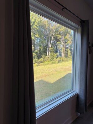Una finestra con vista su una zona erbosa e alberi.