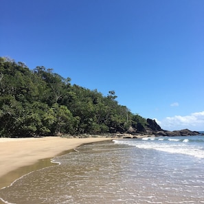 Ein Strand mit blauem Himmel, sandigem Ufer und dichtem Grün.