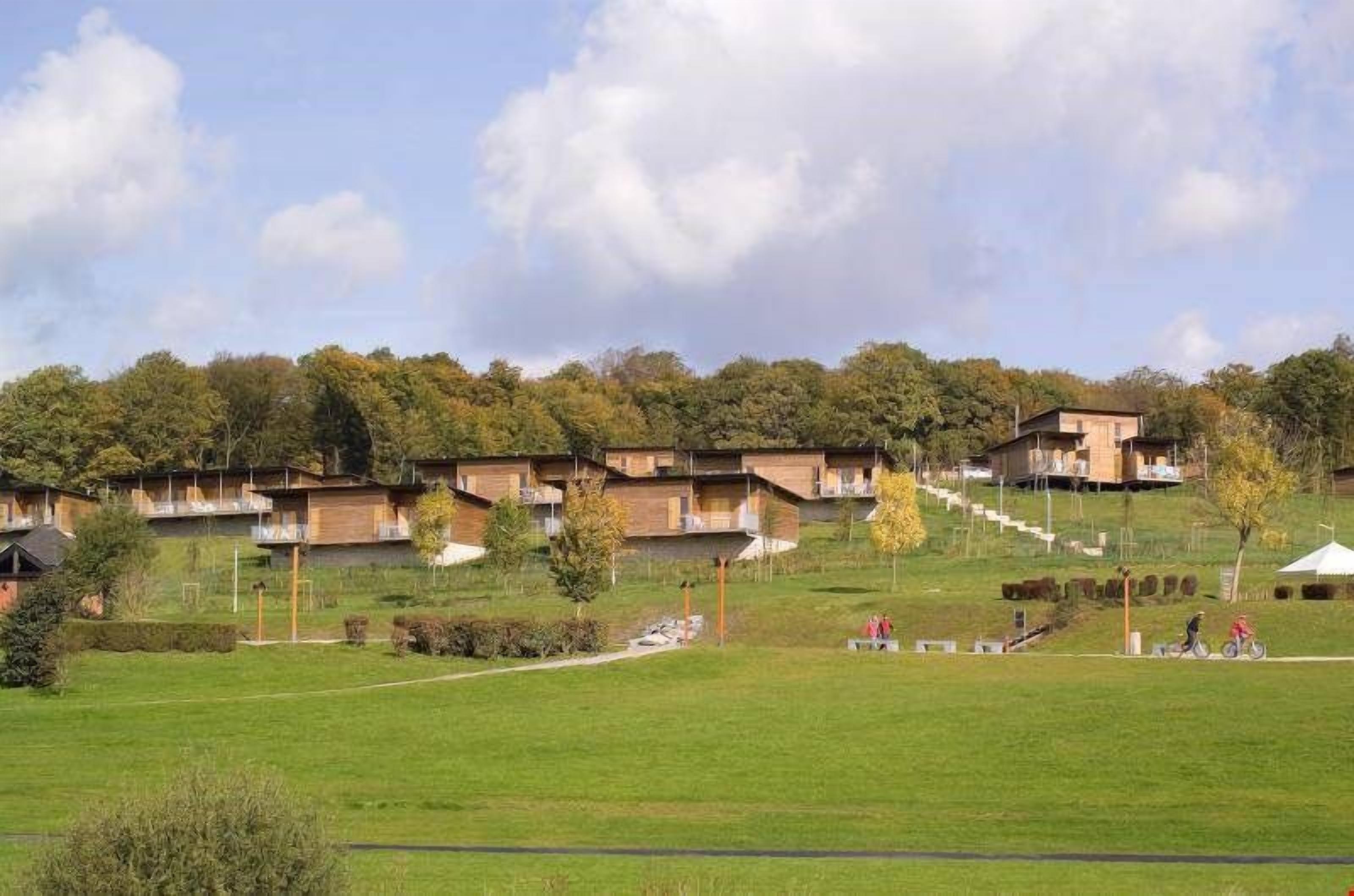 Un quartier résidentiel composé de plusieurs maisons en bois, d’un champ herbeux et d’une colline plantée d’arbres.