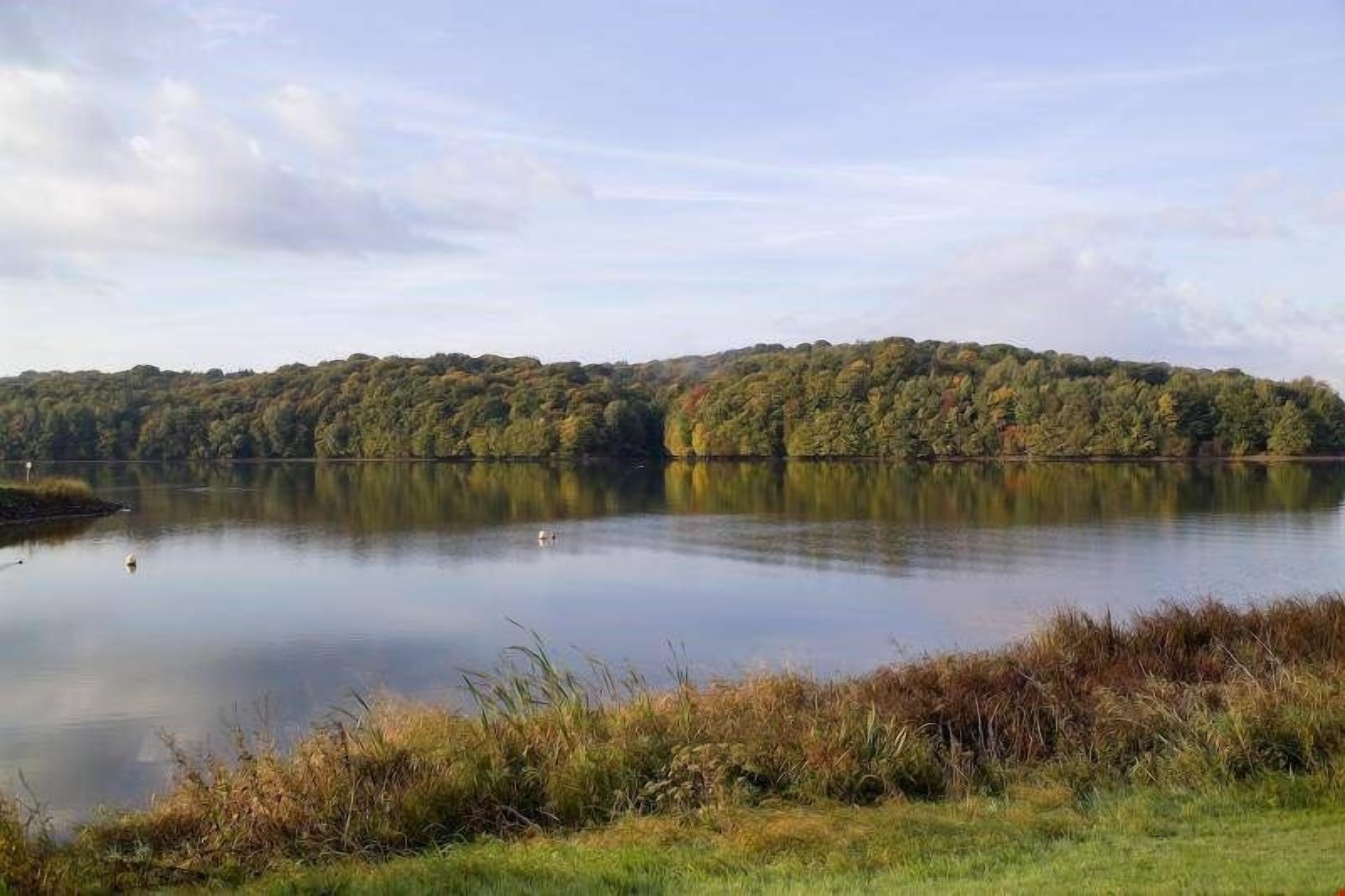 A calm lake with a forested hill in the background.