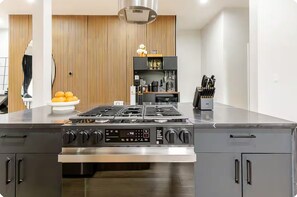 Private kitchen - Founder Row an Urban Oasis near Obama Center & steps to the Univ of Chicago (Chicago)