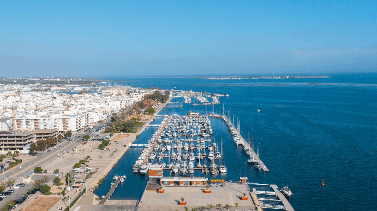 An aerial view of a marina with numerous boats docked, a clear sky, and a cityscape in the background.