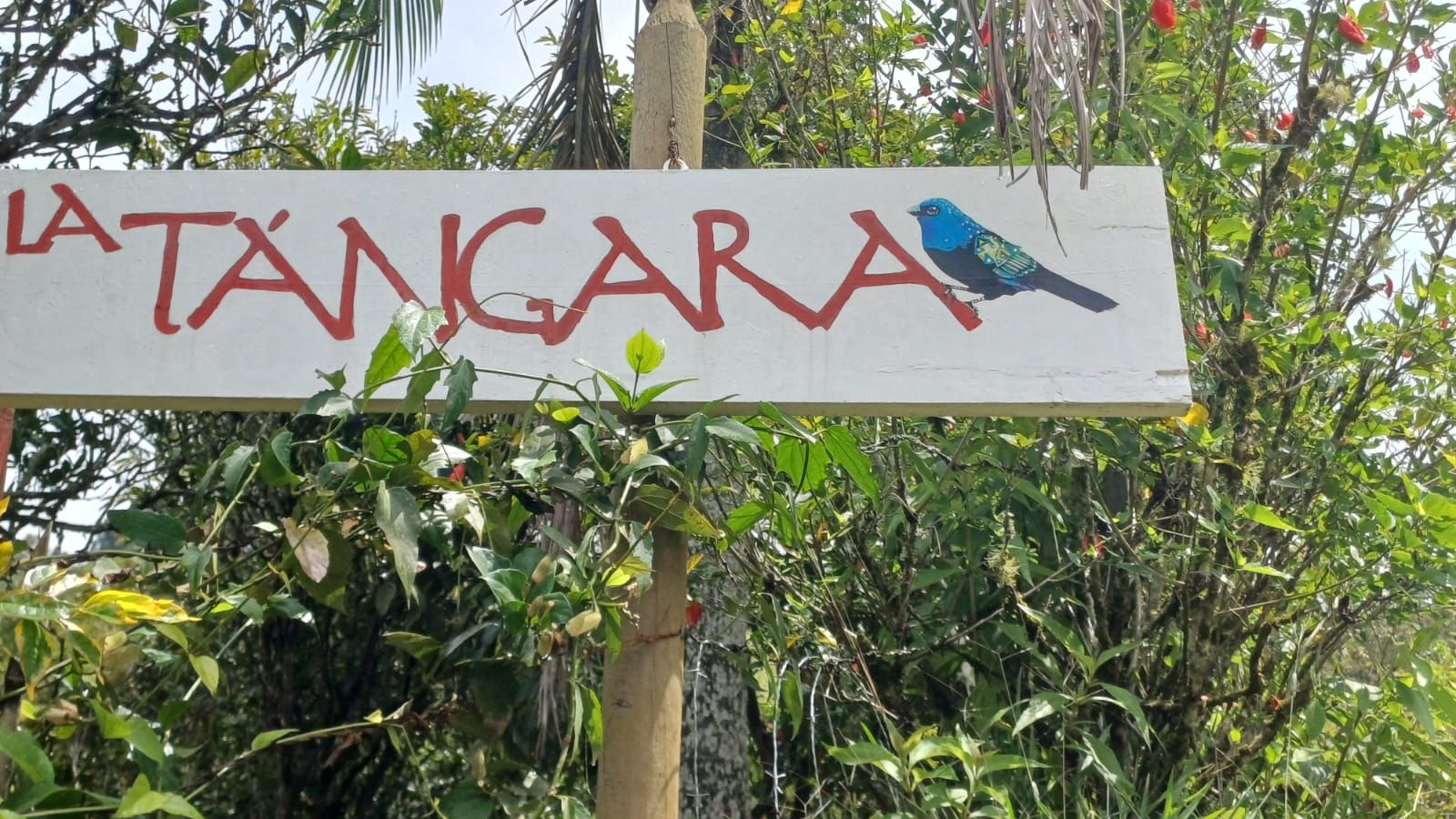 Un cartel con el nombre 'La Tancara' y un pájaro pintado.