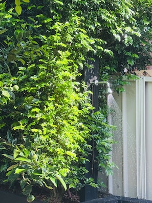 Un jardin agrémenté d’un élément d’eau et d’une clôture en bois.
