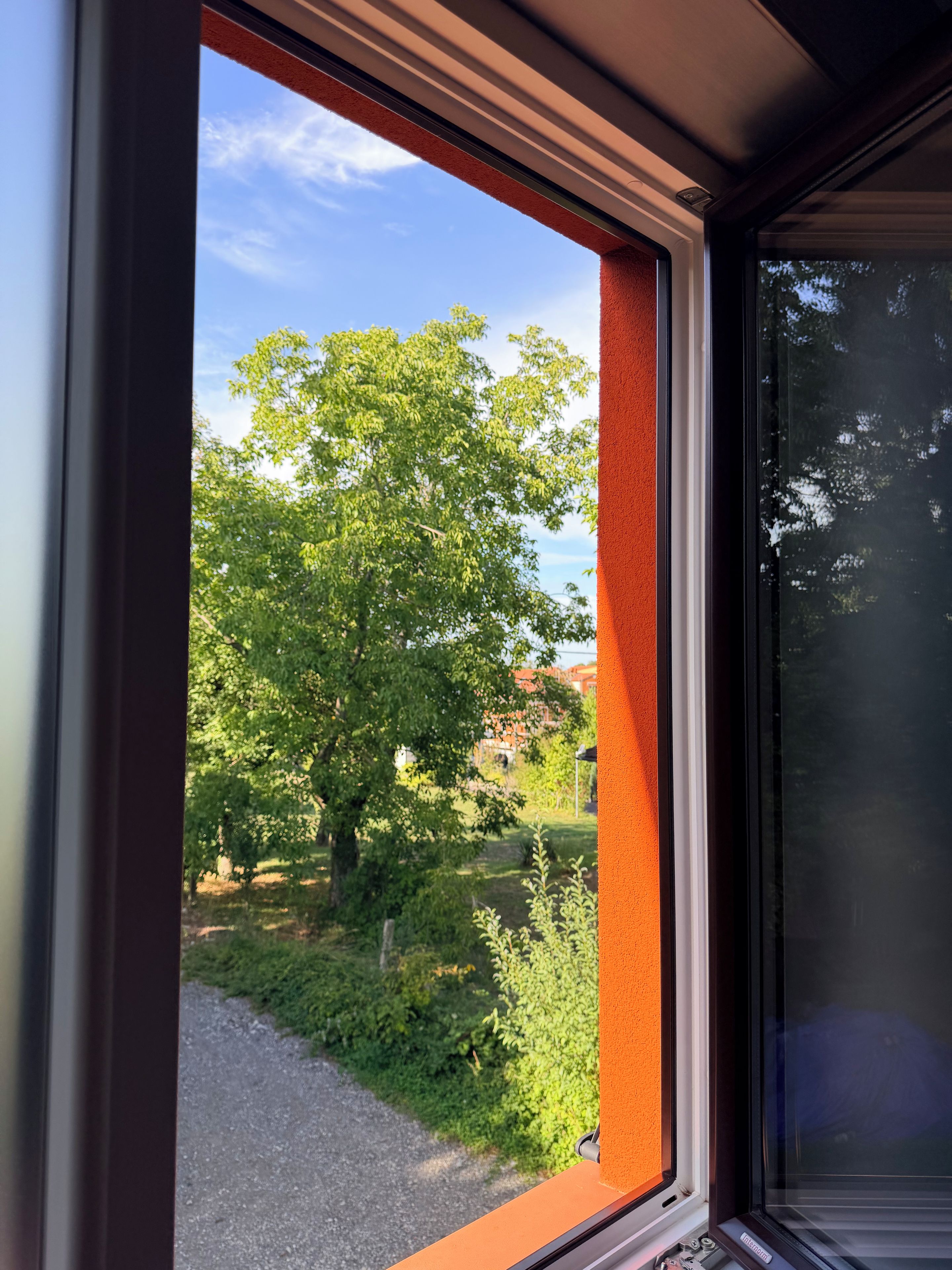Une fenêtre donnant sur un arbre et un sentier.