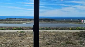 A coastal view with a paved walkway, grassy areas, and a fence.