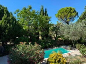 Une piscine entourée d’une végétation luxuriante et d’arbres.