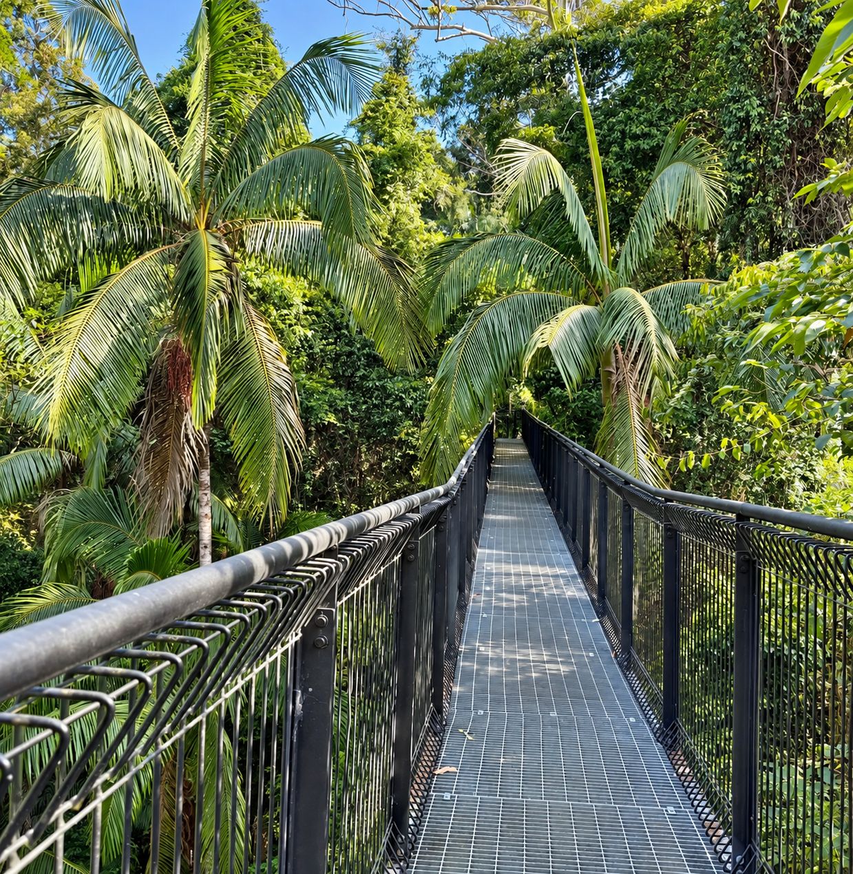 A pathway with metal railings surrounded by lush greenery and palm trees.