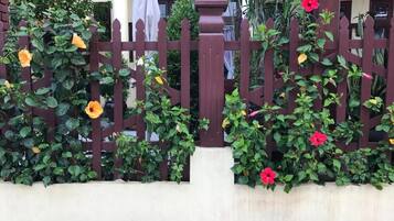 A garden with a wooden fence, various plants, and flowers.