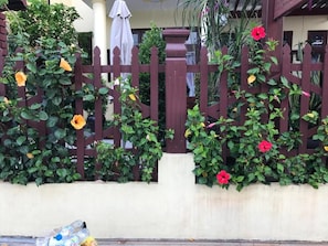 A garden with a wooden fence, various plants, and flowers. - QUA CAM TIM HOMESTAY (HOI AN)