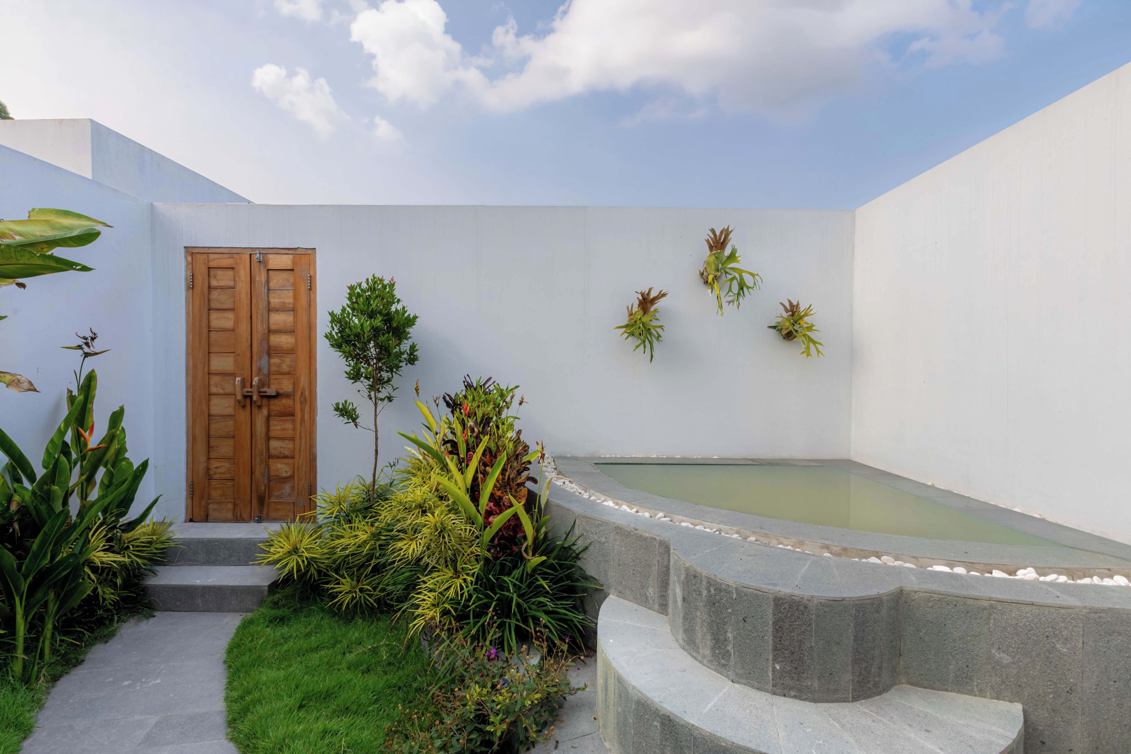 Ein Wellnessbereich mit Holztür, einem kleinen Pool und diversen Pflanzen.