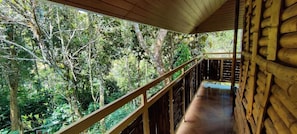 Un balcón de madera con vistas a un bosque denso.