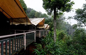 Una serie de cabañas de madera con plataformas y barandillas elevadas, rodeadas de densa vegetación tropical.