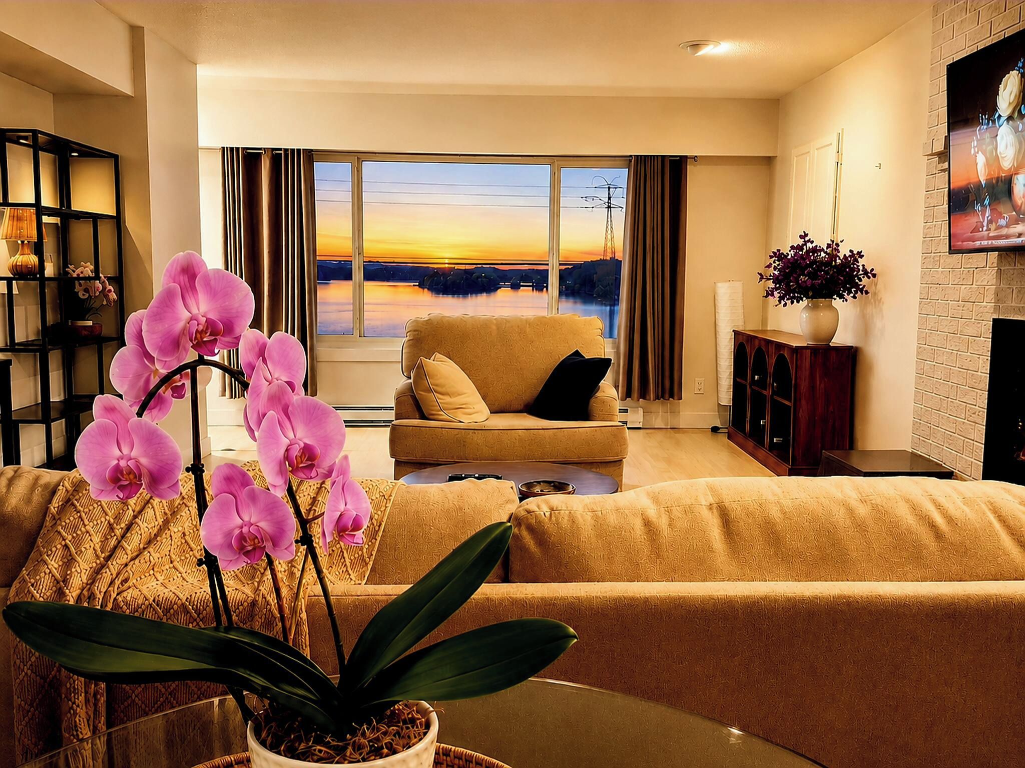 A living room with a sofa, a coffee table, and a potted orchid.