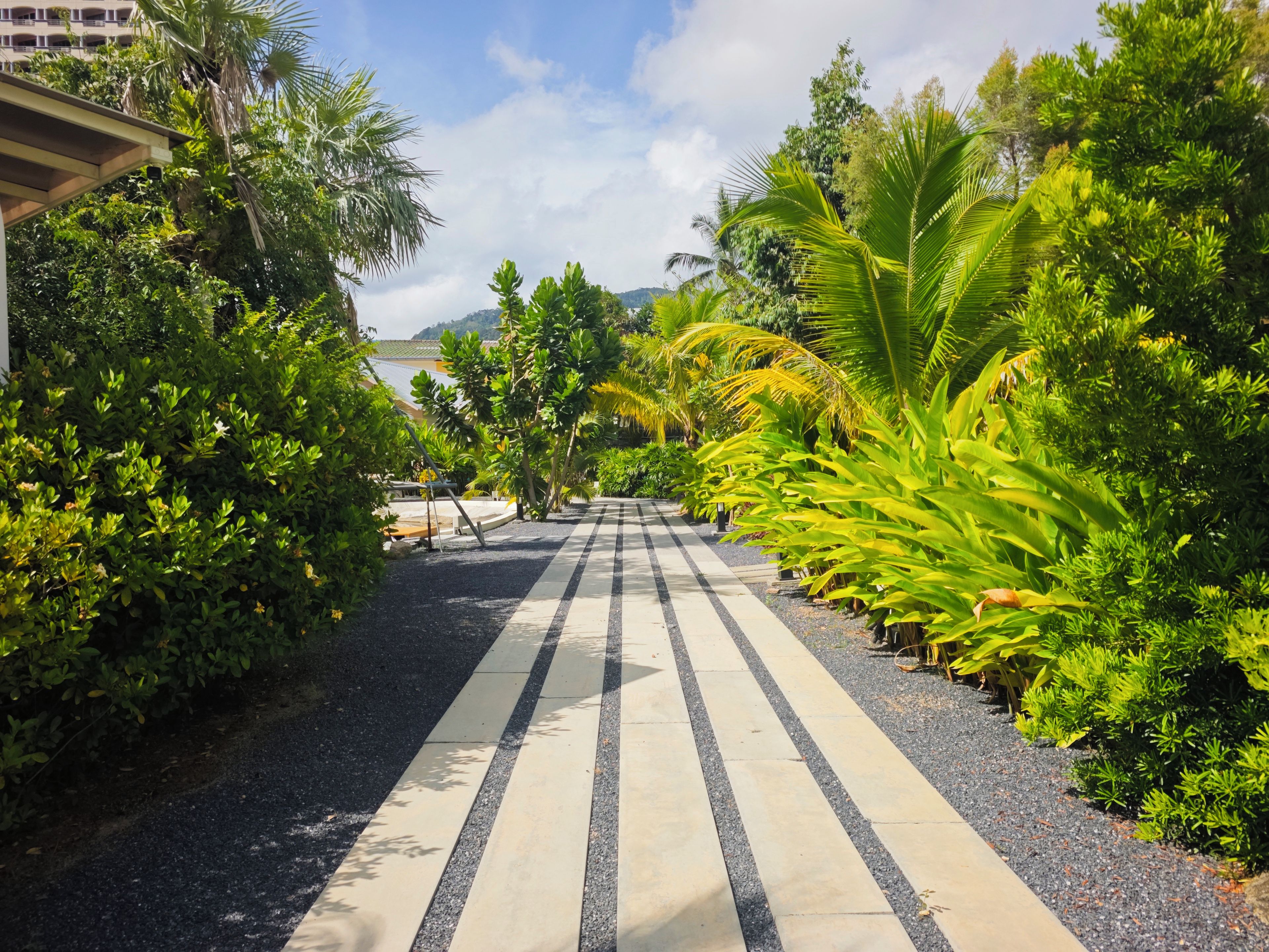 A pathway lined with tropical plants and a building on the left.