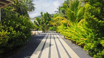 A pathway lined with tropical plants and a building on the left.