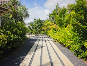 A pathway lined with tropical plants and a building on the left. - Parkland Villa (Kathu)