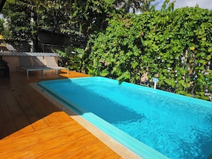 Una piscina con muelle de madera, rodeada de abundante vegetación y una valla.
