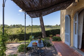 A patio with a table and chairs, a basket of fruit, and a view of vineyards. - La Certaldina, Sole Apartment (Certaldo)