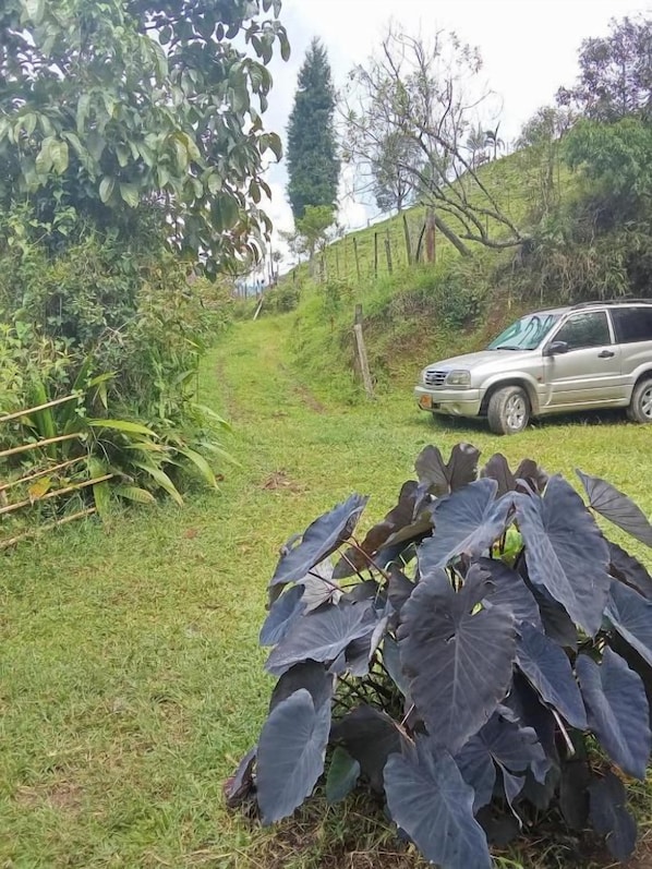 A vehicle parked on a grassy slope with a path leading uphill.