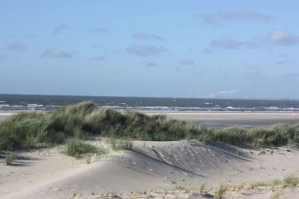A beach with sand dunes and the ocean in the background.