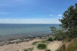 Una playa con agua cristalina, una orilla de arena y un árbol a la derecha.