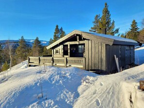 A wooden cabin with a porch, surrounded by snow-covered terrain and trees. - Traditional cabin with views over Setesdalen (Bykle)