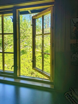 A window with a view of greenery outside. - Traditional cabin with views over Setesdalen (Bykle)
